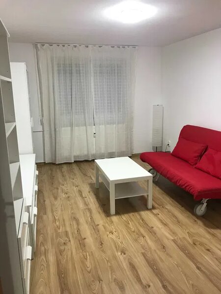 Lacul Tei, Teiul Doamnei, Facultatea de Constructii.